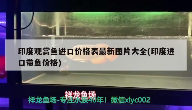 魚缸換水后水發(fā)白霧蒙蒙的多久能好?。呼~缸換水后水發(fā)白怎么回事