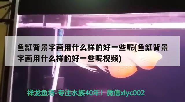 礦泉水桶魚缸過濾器怎么安裝 礦泉水桶 魚缸 照明器材 第2張