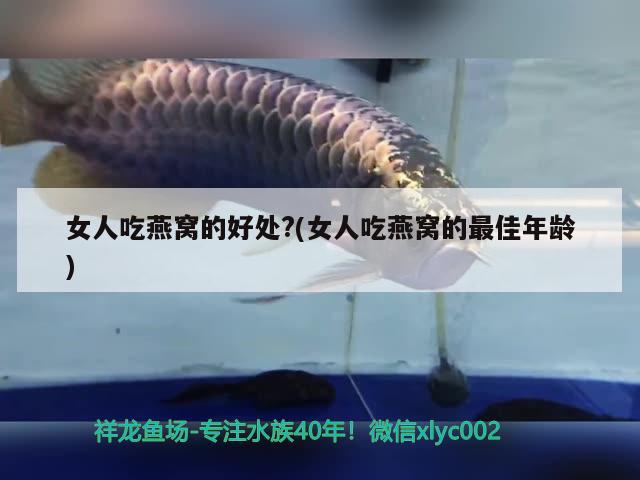 上海觀賞魚進(jìn)口商家有哪些品牌店鋪名稱(上海買觀賞魚的市場(chǎng)) 觀賞魚進(jìn)出口