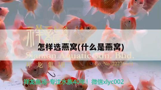 日照魚缸售后維護(hù)中心地址（日照魚缸售后維護(hù)中心地址電話）