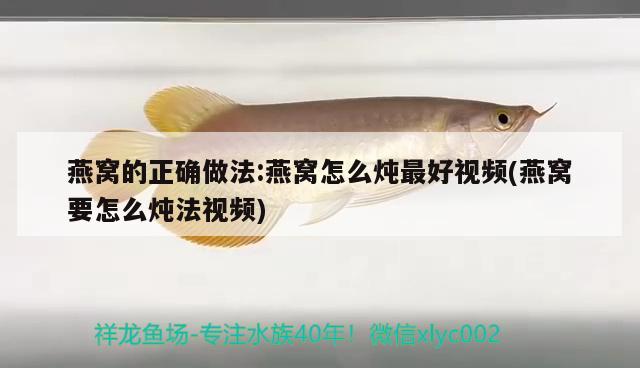 金龍魚(yú)大豆油五升多少錢（金龍魚(yú)大豆油五升多少錢一桶）