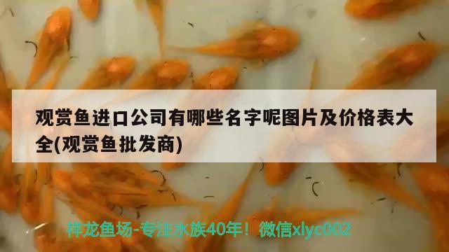 觀賞魚進(jìn)口公司有哪些名字呢圖片及價(jià)格表大全(觀賞魚批發(fā)商) 觀賞魚進(jìn)出口