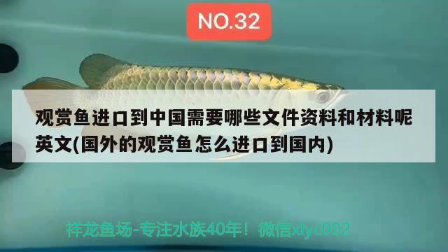 觀賞魚進口到中國需要哪些文件資料和材料呢英文(國外的觀賞魚怎么進口到國內(nèi))