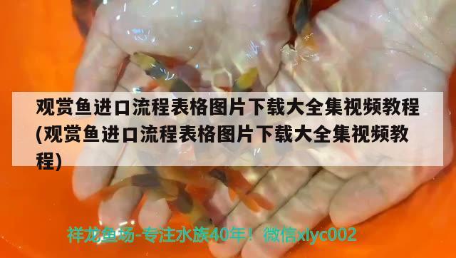 觀賞魚進(jìn)口流程表格圖片下載大全集視頻教程(觀賞魚進(jìn)口流程表格圖片下載大全集視頻教程) 觀賞魚進(jìn)出口