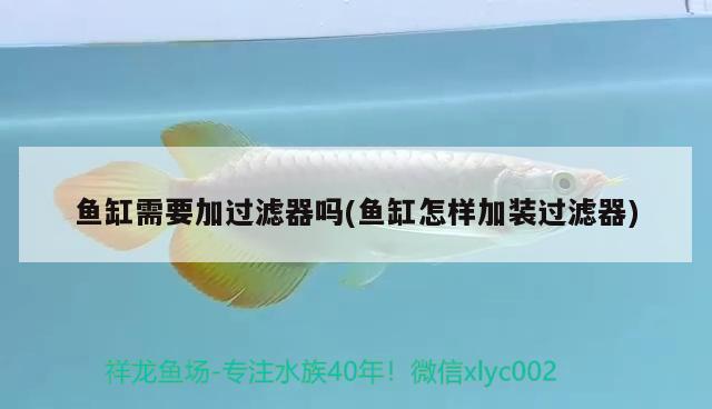 魚缸需要加過濾器嗎(魚缸怎樣加裝過濾器) 觀賞魚市場