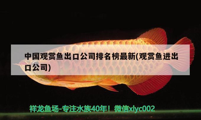 中國觀賞魚出口公司排名榜最新(觀賞魚進出口公司) 觀賞魚進出口