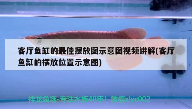 魚(yú)缸的ph值怎么改變，魚(yú)缸ph值(魚(yú)缸ph值怎么調(diào)節(jié)高)