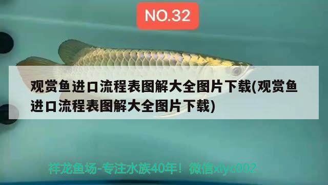 觀賞魚(yú)進(jìn)口流程表圖解大全圖片下載(觀賞魚(yú)進(jìn)口流程表圖解大全圖片下載) 觀賞魚(yú)進(jìn)出口