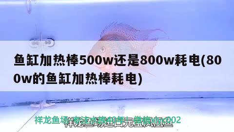 魚(yú)缸加熱棒500w還是800w耗電(800w的魚(yú)缸加熱棒耗電)