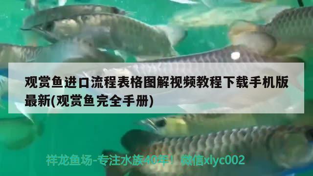 玻璃瓶做魚缸圖片（玻璃瓶做魚缸圖片大全）