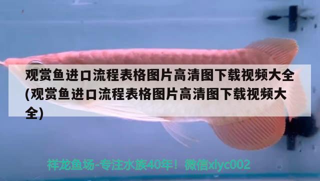 觀賞魚進口流程表格圖片高清圖下載視頻大全(觀賞魚進口流程表格圖片高清圖下載視頻大全)