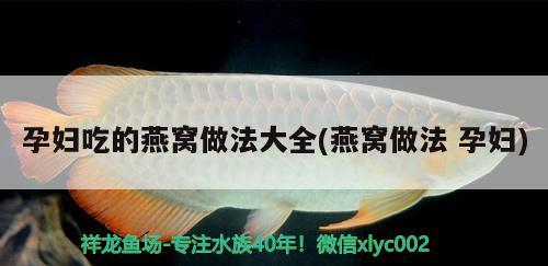 寶蓮燈魚多少度會凍死(寶蓮燈魚最低溫度)