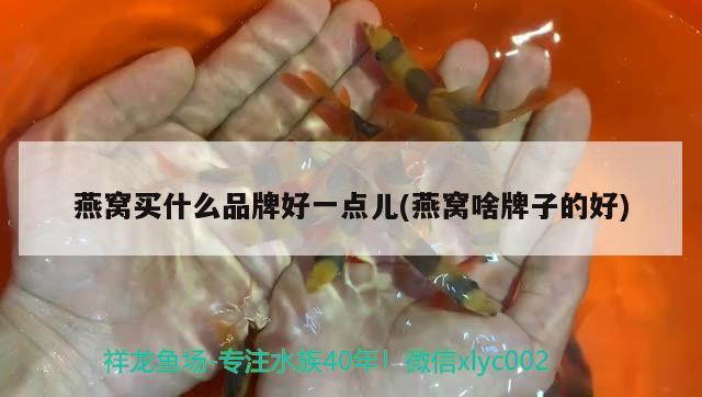 魚缸水每天換一點合理嗎?（魚缸水每天換一點合理嗎視頻） 金龍魚糧