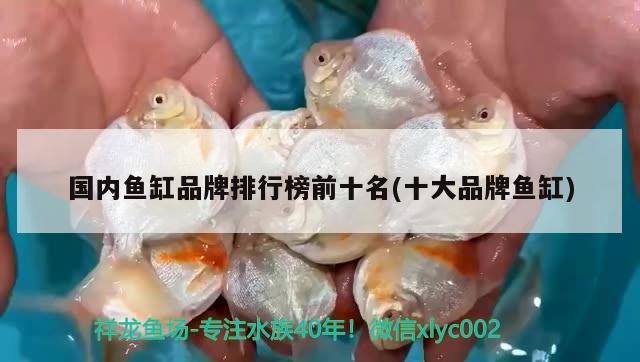 國(guó)內(nèi)魚缸品牌排行榜前十名(十大品牌魚缸) 銀龍魚苗