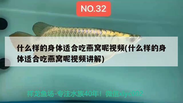 珊瑚到底是植物還是珊瑚？，珊瑚到底是什么意思， 金老虎魚(yú) 第1張