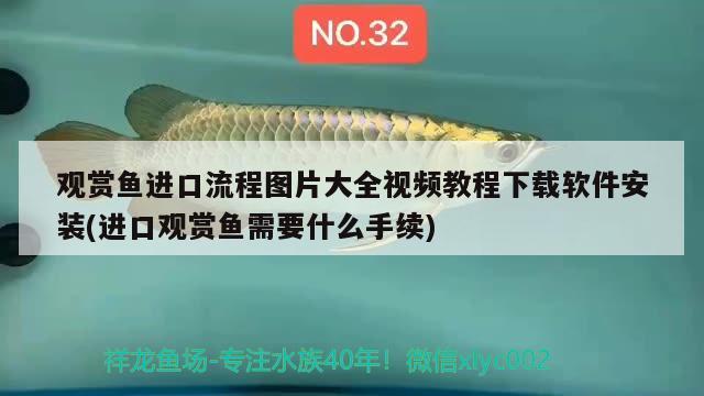 觀賞魚進(jìn)口流程圖片大全視頻教程下載軟件安裝(進(jìn)口觀賞魚需要什么手續(xù)) 觀賞魚進(jìn)出口