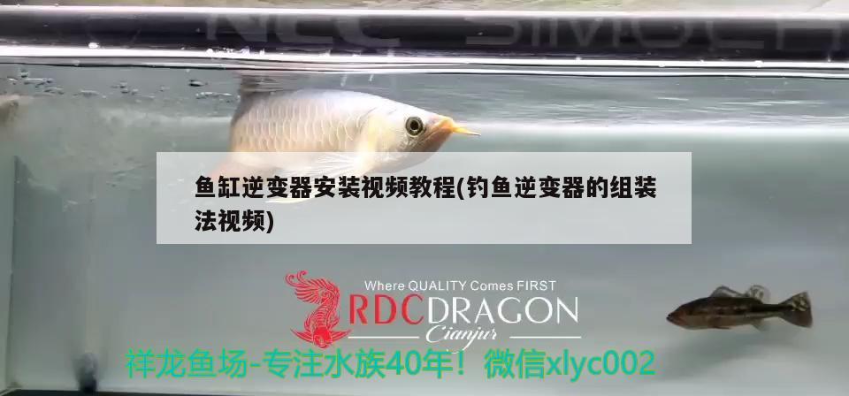 魚缸逆變器安裝視頻教程(釣魚逆變器的組裝法視頻) 垂釣樂園