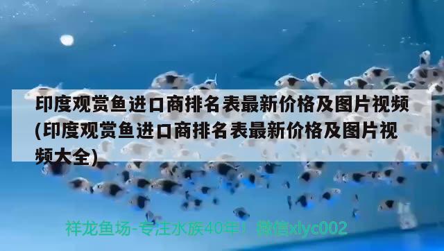 印度觀賞魚(yú)進(jìn)口商排名表最新價(jià)格及圖片視頻(印度觀賞魚(yú)進(jìn)口商排名表最新價(jià)格及圖片視頻大全) 觀賞魚(yú)進(jìn)出口