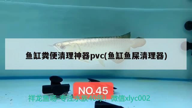 魚缸糞便清理神器pvc(魚缸魚屎清理器)