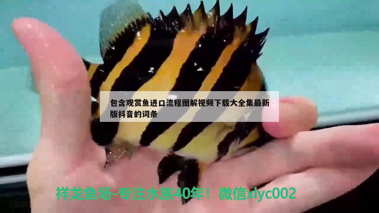 包含觀賞魚進(jìn)口流程圖解視頻下載大全集最新版抖音的詞條 觀賞魚進(jìn)出口