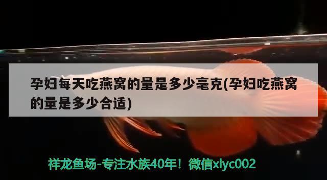 孕婦每天吃燕窩的量是多少毫克(孕婦吃燕窩的量是多少合適) 馬來西亞燕窩