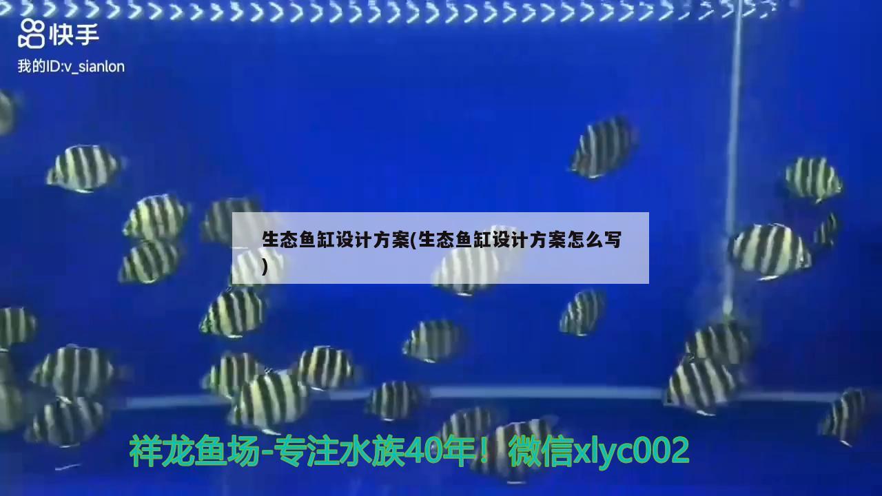 生態(tài)魚缸設(shè)計(jì)方案(生態(tài)魚缸設(shè)計(jì)方案怎么寫) 龍魚百科