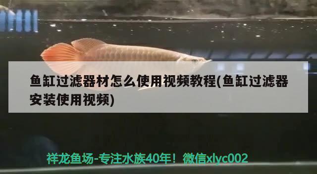 魚缸過濾器材怎么使用視頻教程(魚缸過濾器安裝使用視頻) 玫瑰銀版魚