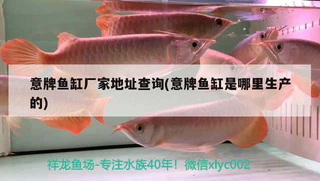 意牌魚缸廠家地址查詢(意牌魚缸是哪里生產(chǎn)的) 祥龍水族護(hù)理水