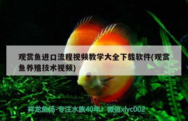 觀賞魚進(jìn)口流程視頻教學(xué)大全下載軟件(觀賞魚養(yǎng)殖技術(shù)視頻) 觀賞魚進(jìn)出口