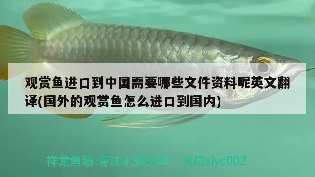 魚缸水起泡沫然后有死魚，為什么魚缸水面有很多白色泡沫