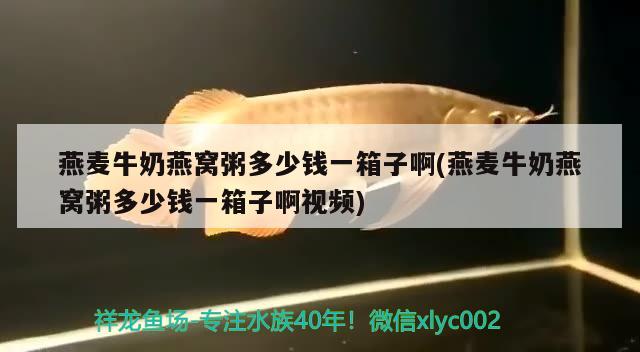 寵物觀賞魚大全名字叫什么 寵物觀賞魚大全名字叫什么來著