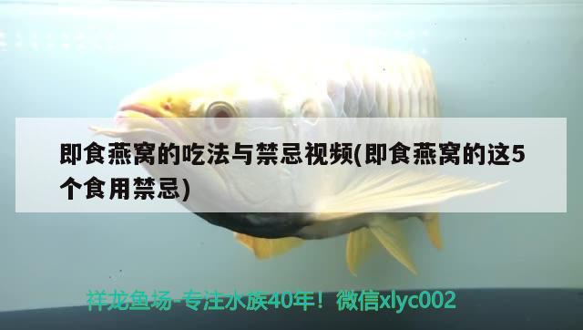 孔雀魚可以和什么魚雜交，二種孔雀魚放一起養(yǎng)會出現(xiàn)雜交魚嗎 觀賞魚 第2張