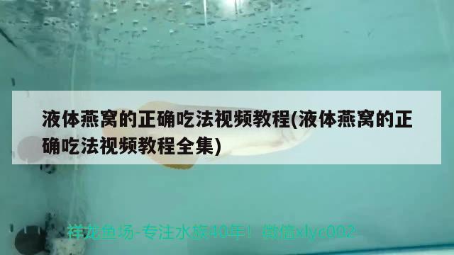 液體燕窩的正確吃法視頻教程(液體燕窩的正確吃法視頻教程全集) 馬來(lái)西亞燕窩