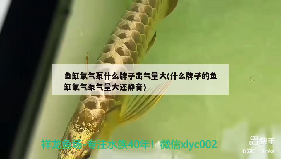 魚(yú)缸氧氣泵什么牌子出氣量大(什么牌子的魚(yú)缸氧氣泵氣量大還靜音) 熱帶魚(yú)魚(yú)苗批發(fā)