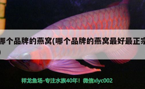 魚缸鋪底砂怎么算多少：魚缸鋪底砂多厚合適 廣州水族批發(fā)市場(chǎng) 第2張