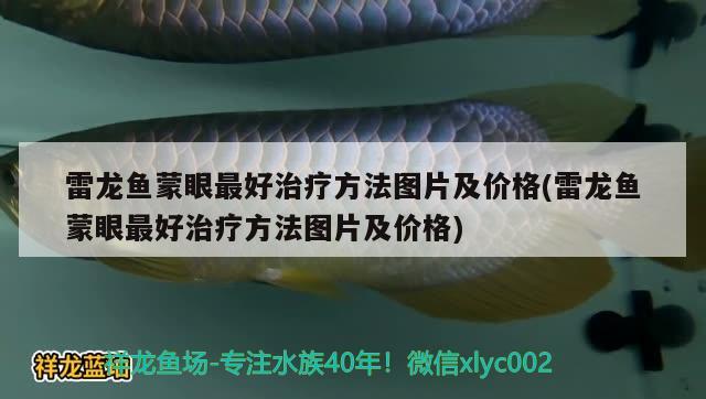 雷龍魚(yú)蒙眼最好治療方法圖片及價(jià)格(雷龍魚(yú)蒙眼最好治療方法圖片及價(jià)格) 除藻劑