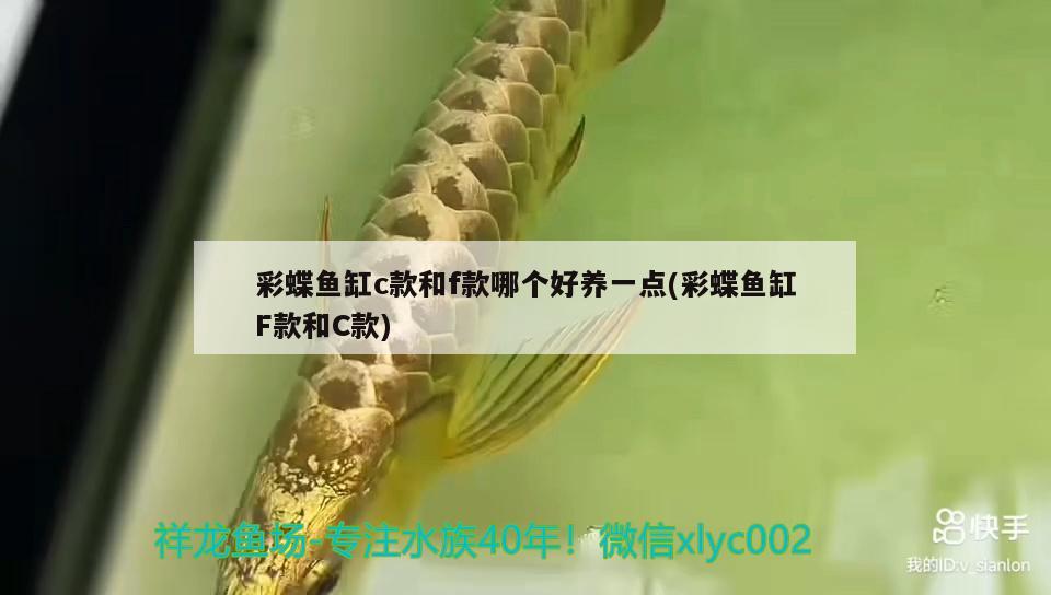 彩蝶魚(yú)缸c款和f款哪個(gè)好養(yǎng)一點(diǎn)(彩蝶魚(yú)缸F款和C款)