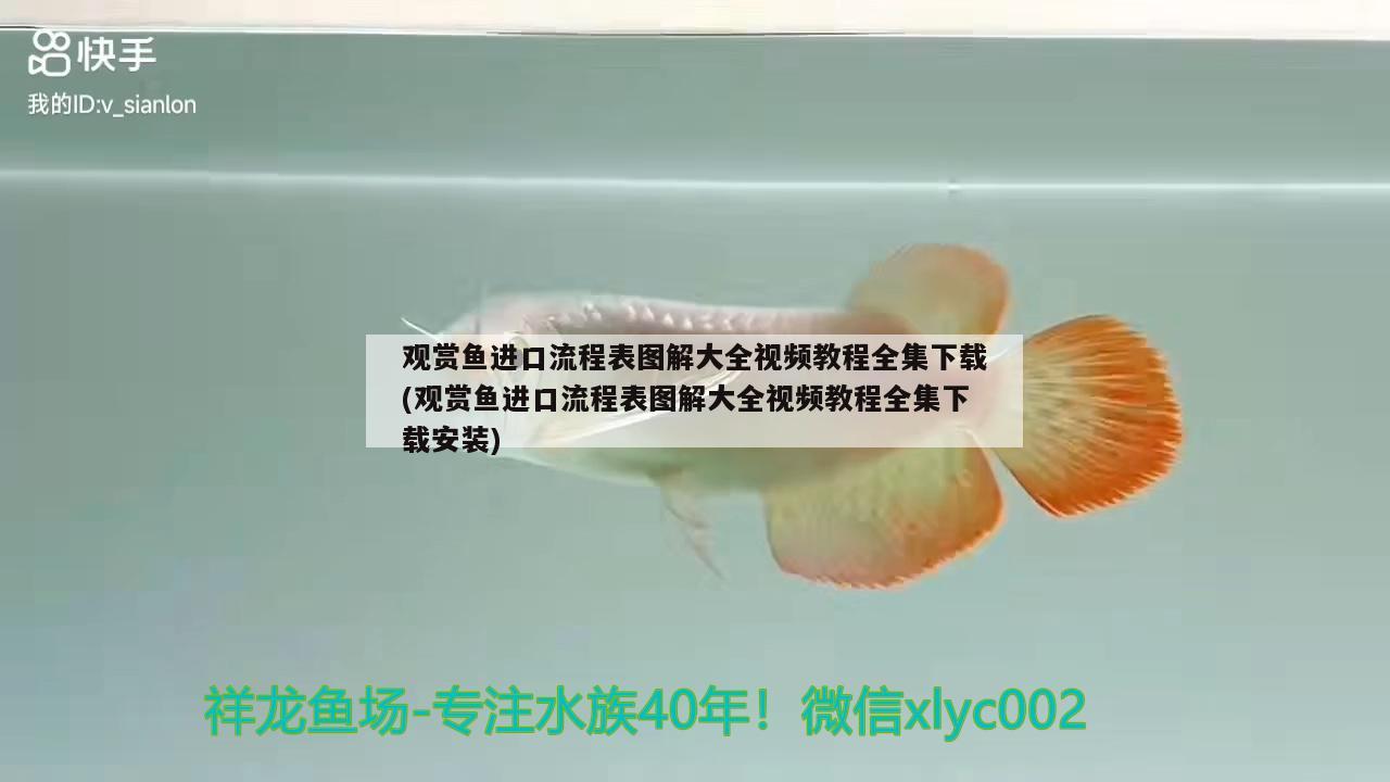 觀賞魚進(jìn)口流程表圖解大全視頻教程全集下載(觀賞魚進(jìn)口流程表圖解大全視頻教程全集下載安裝) 觀賞魚進(jìn)出口