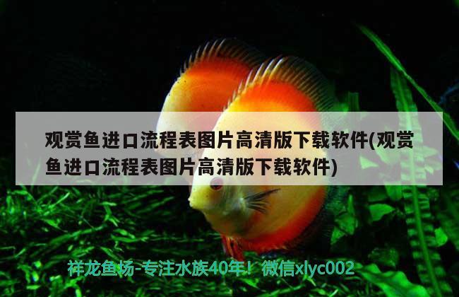 恐龍魚的食物是什么東西（恐龍魚吃什么最有營養(yǎng)） 養(yǎng)魚知識 第1張