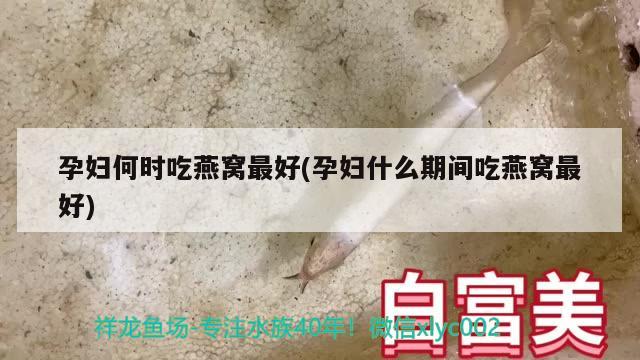 孕婦何時吃燕窩最好(孕婦什么期間吃燕窩最好) 馬來西亞燕窩