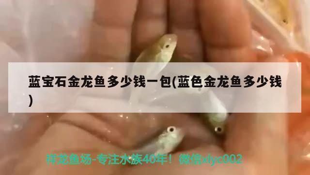 藍寶石金龍魚多少錢一包(藍色金龍魚多少錢) 錦鯉池魚池建設