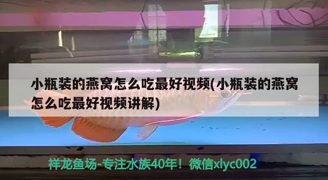 小瓶裝的燕窩怎么吃最好視頻(小瓶裝的燕窩怎么吃最好視頻講解)