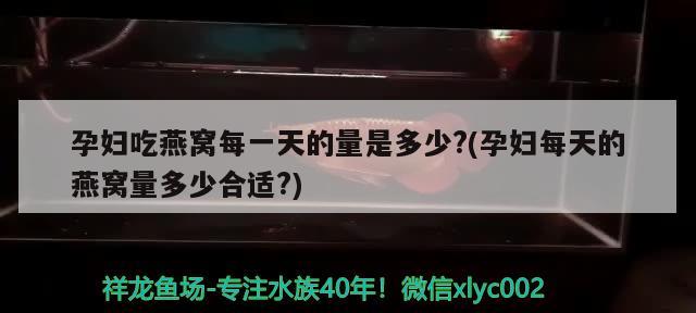 10厘米的銀龍魚吃什么飼料最好（銀龍冬季怎么喂） 全國水族館企業(yè)名錄 第2張