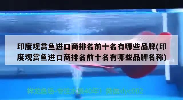 印度觀賞魚進口商排名前十名有哪些品牌(印度觀賞魚進口商排名前十名有哪些品牌名稱) 觀賞魚進出口