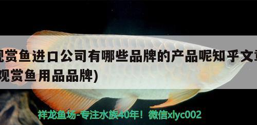 觀賞魚進口公司有哪些品牌的產(chǎn)品呢知乎文章(觀賞魚用品品牌) 觀賞魚進出口