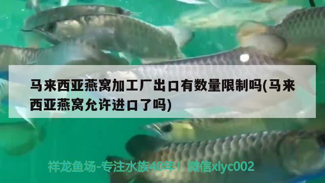 一根軟管如何換水魚(yú)缸 一根軟管如何換水魚(yú)缸視頻 南美異形觀賞魚(yú) 第1張