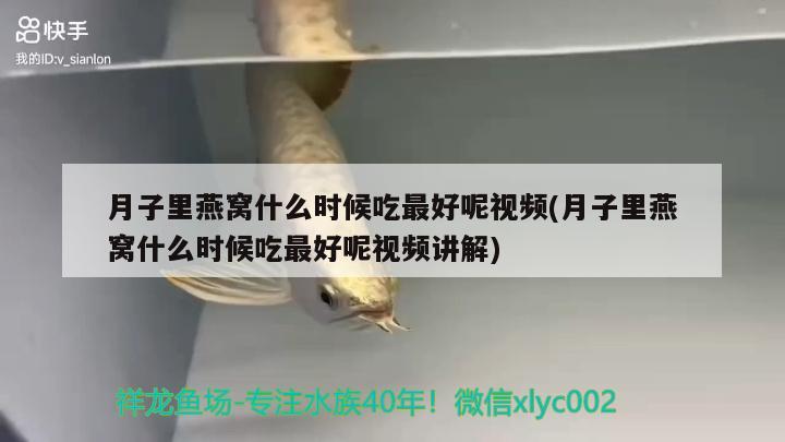 魚缸上過濾過濾材料擺放順序圖片：求教：濾筒過濾材料的選擇及放置順序 養(yǎng)魚的好處 第2張