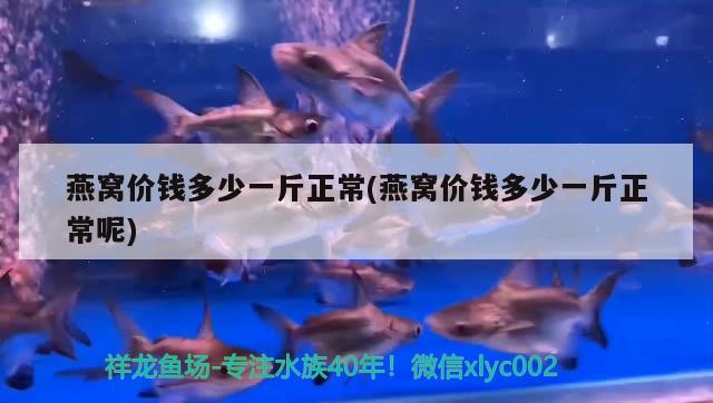 魚缸加熱棒什么牌子好，哪種魚缸加熱棒比較好啊　有什么需要注意的嗎 養(yǎng)魚的好處 第2張