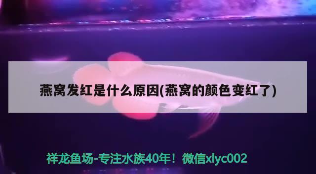 徐州定制魚缸價(jià)格多少錢一個(gè)：徐州修魚缸的電話 廣州水族批發(fā)市場 第3張