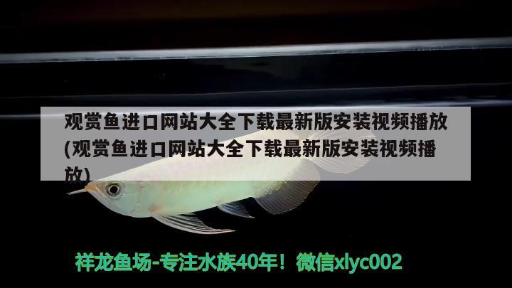 觀賞魚(yú)進(jìn)口網(wǎng)站大全下載最新版安裝視頻播放(觀賞魚(yú)進(jìn)口網(wǎng)站大全下載最新版安裝視頻播放) 觀賞魚(yú)進(jìn)出口